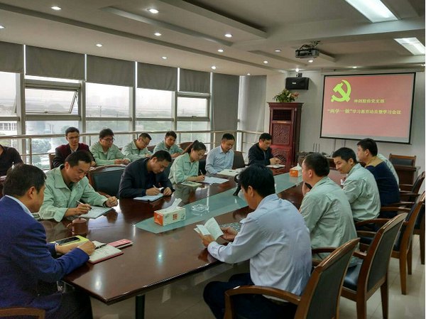 公司党支部召开“两学一做”学习教育活动动员会